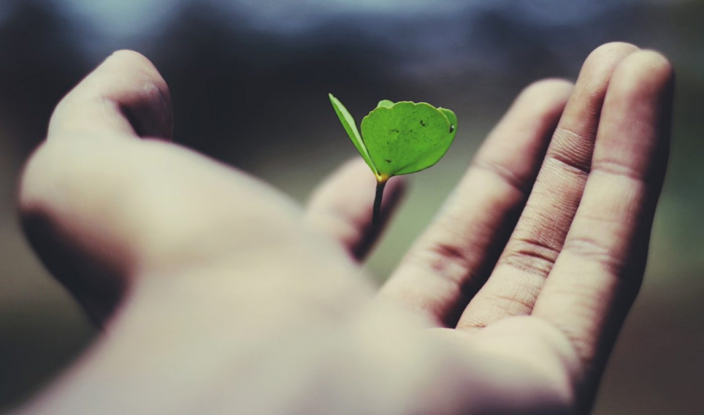 How Creatives Can Stay Sane During The Coronavirus Crisis