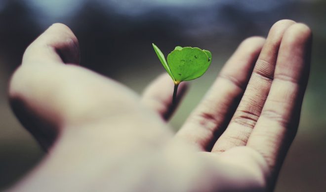 How Creatives Can Stay Sane During The Coronavirus Crisis