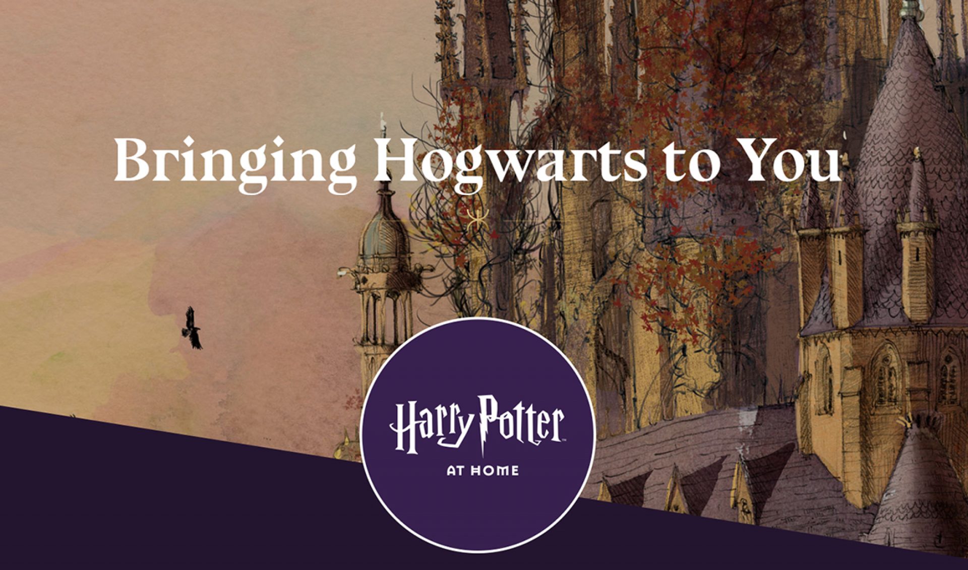 Daniel Radcliffe Reads First Chapter Of ‘Harry Potter’ For Wizarding World Digital’s COVID-19 Initiative