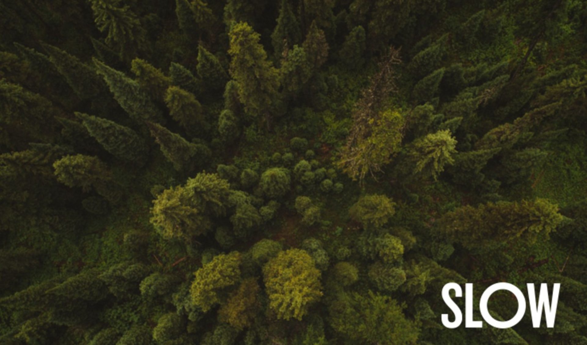 VC Firm Slow Ventures Is Incubating ‘LiveStack’ To Help Creators Easily Monetize Live Events