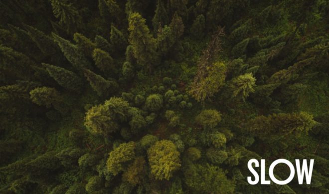 VC Firm Slow Ventures Is Incubating ‘LiveStack’ To Help Creators Easily Monetize Live Events