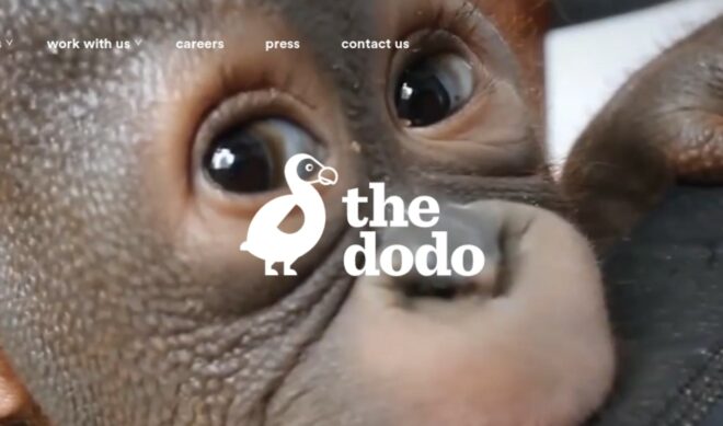 Group Nine Studios Signs With CAA, Which Will Rep Its Dodo, Seeker, And PopSugar Brands