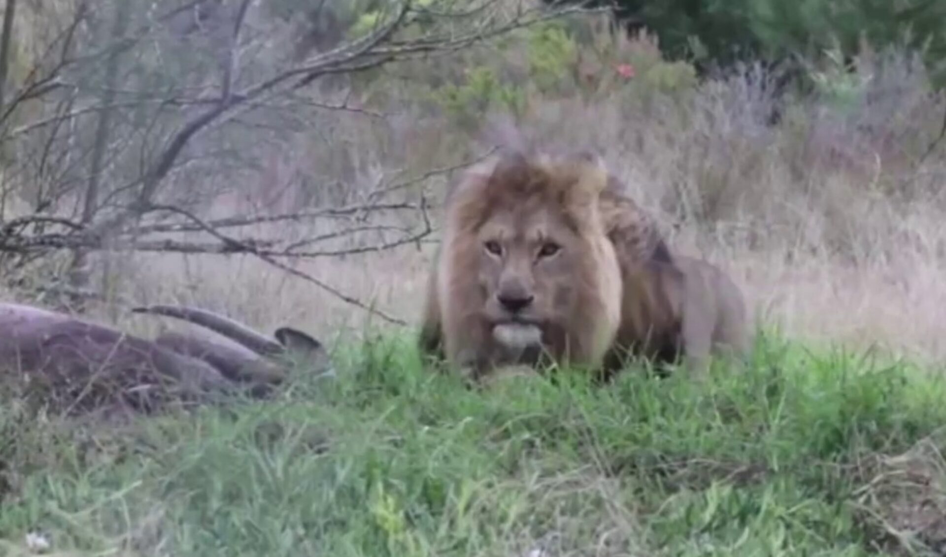 Top 50 Most Viewed U.S. YouTube Channels • Week Of 10/18/2021