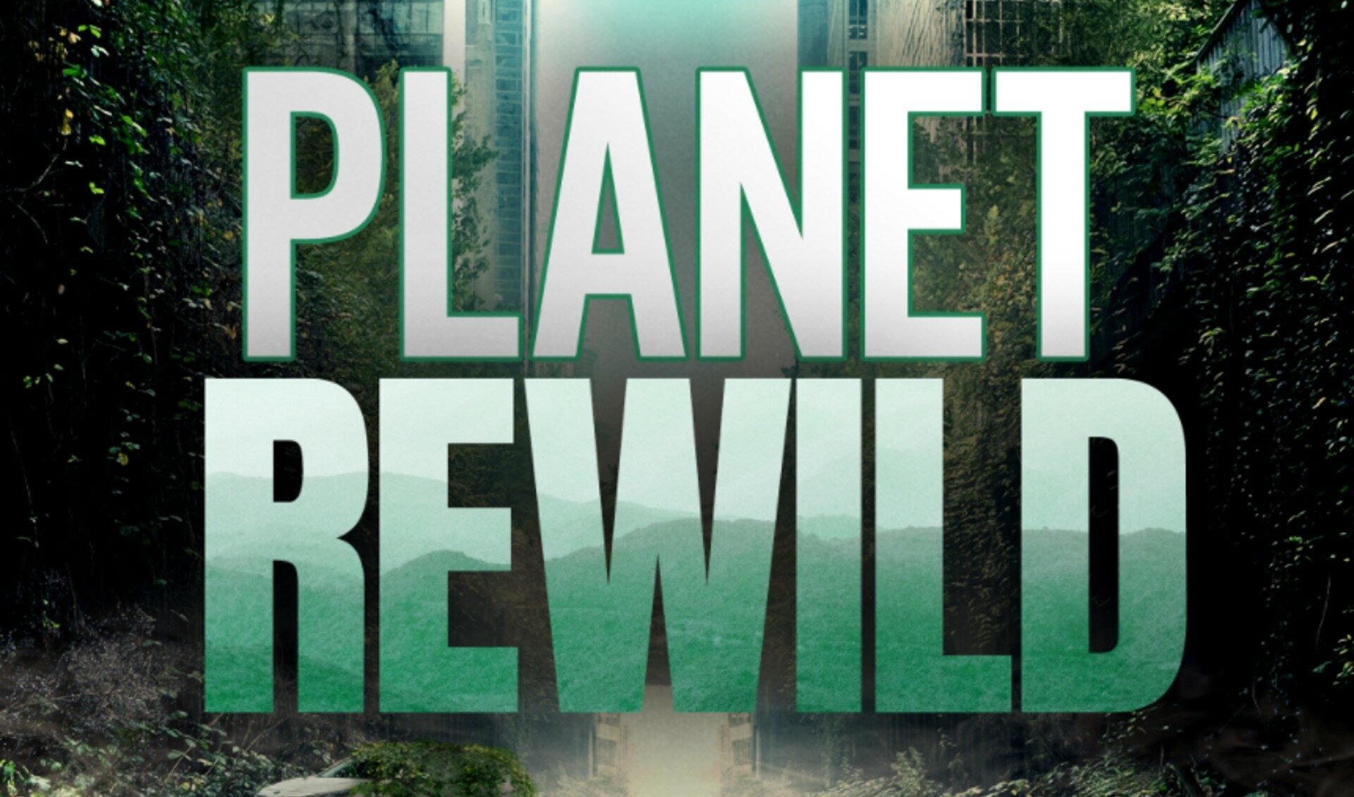 Snap Pledges To Be Carbon Negative By 2030