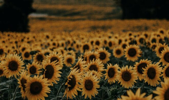 YouTube demonetizes Russia’s state-owned channels, citing “extraordinary circumstances”