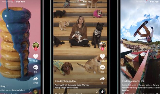 TikTok may help you find those lost gems with ‘Watch History’