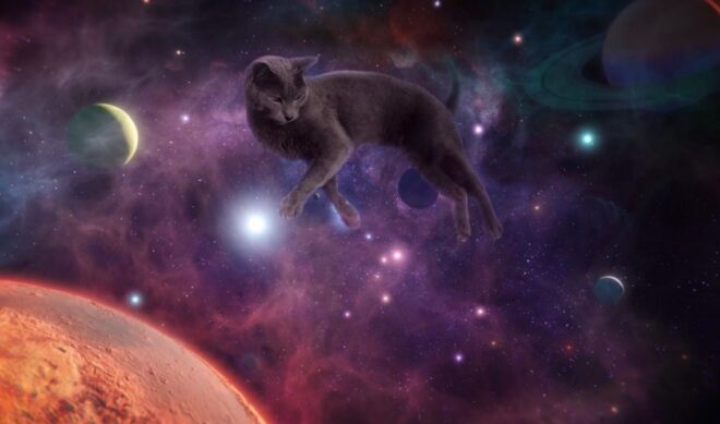 On YouTube, brands are speaking softly in order to be heard