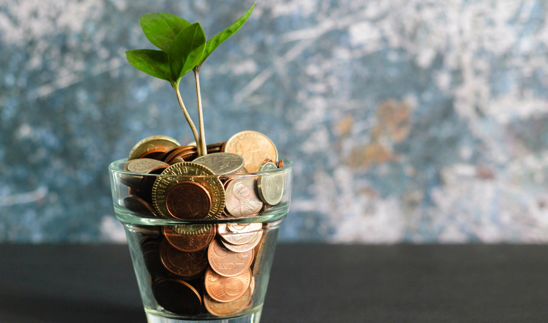 TikTok is finally splitting ad revenue with (some) creators