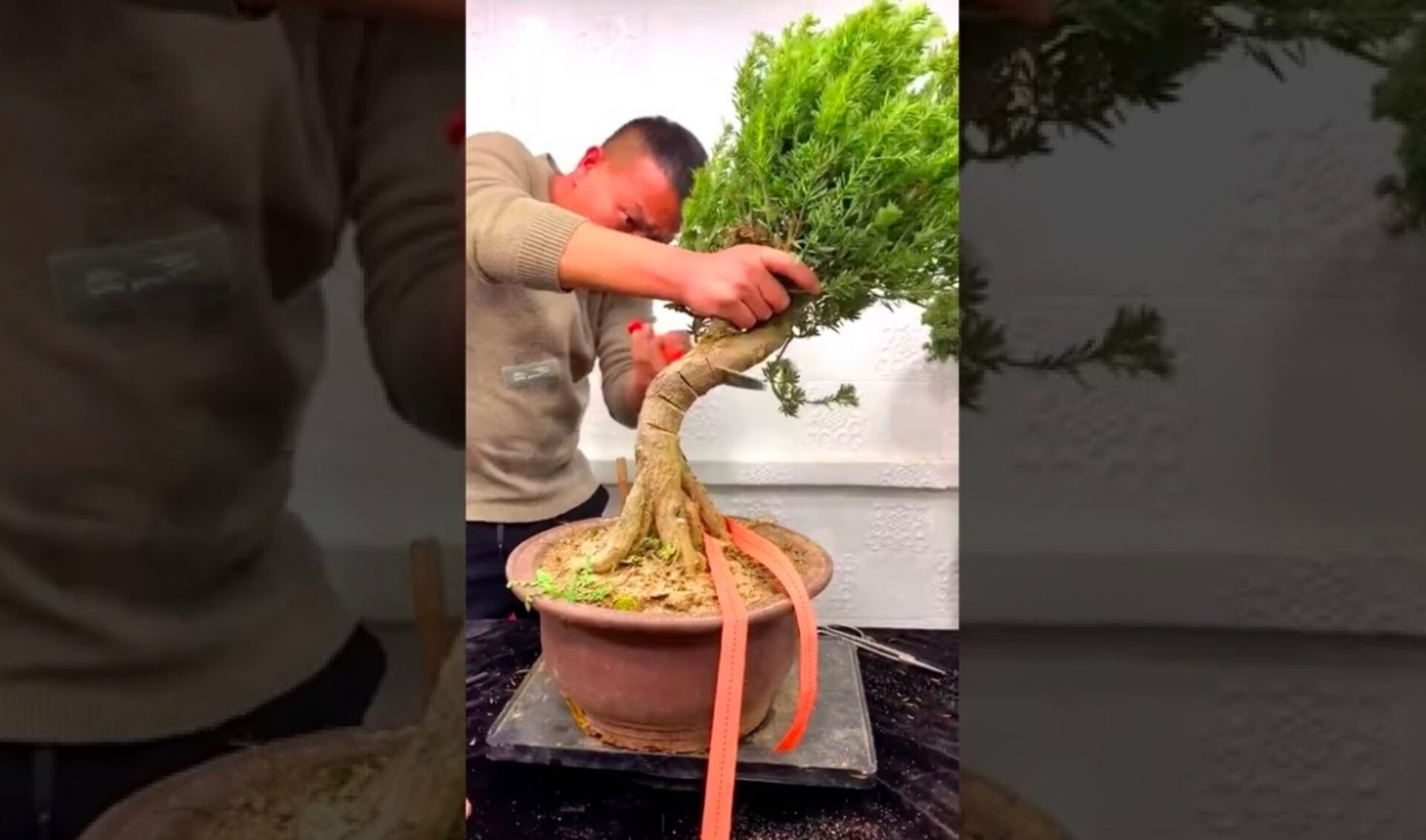 Top 50 Most Viewed U.S. YouTube Channels • Week Of 06/19/2022