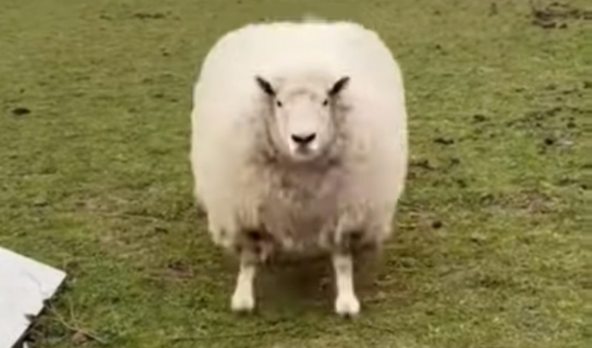 Top 50 Most Viewed YouTube Channels Worldwide • Week Of 07/03/2022