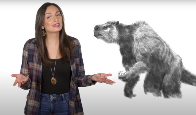 YouTube Millionaires: Animalogic is making the next generation of nature documentaries