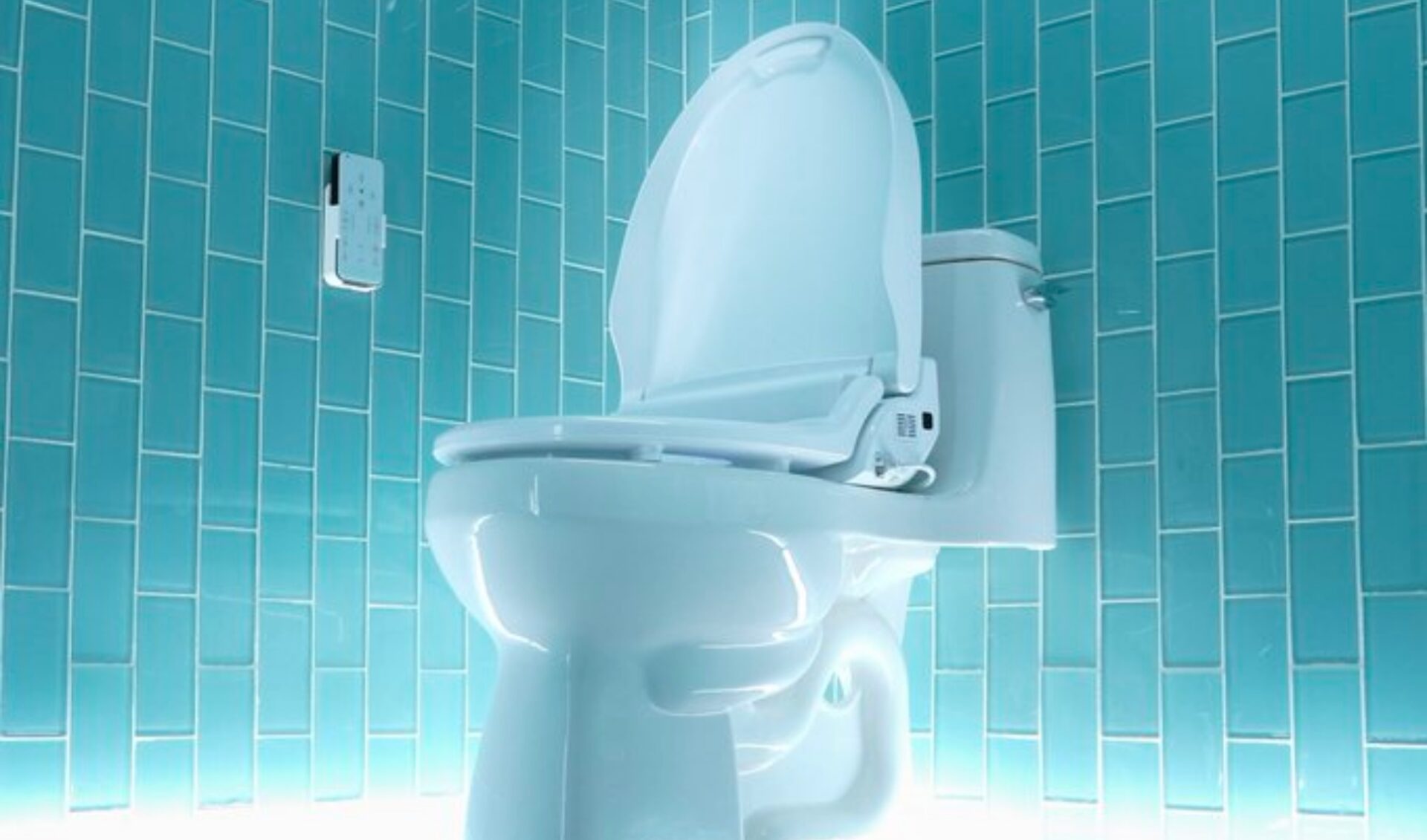 Ludwig’s latest product is “the greatest bidet ever crafted by man.”