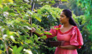 YouTube Millionaires: Nadee showcases the “vitality and vigor” of traditional Sri Lankan life