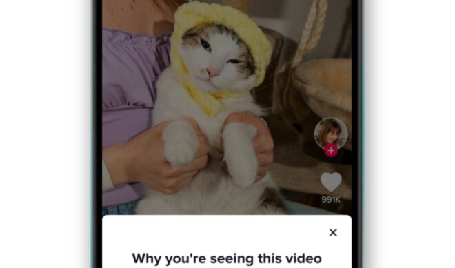 What’s in a feed? TikTok has revealed some of the factors its recommendation algorithm weighs.