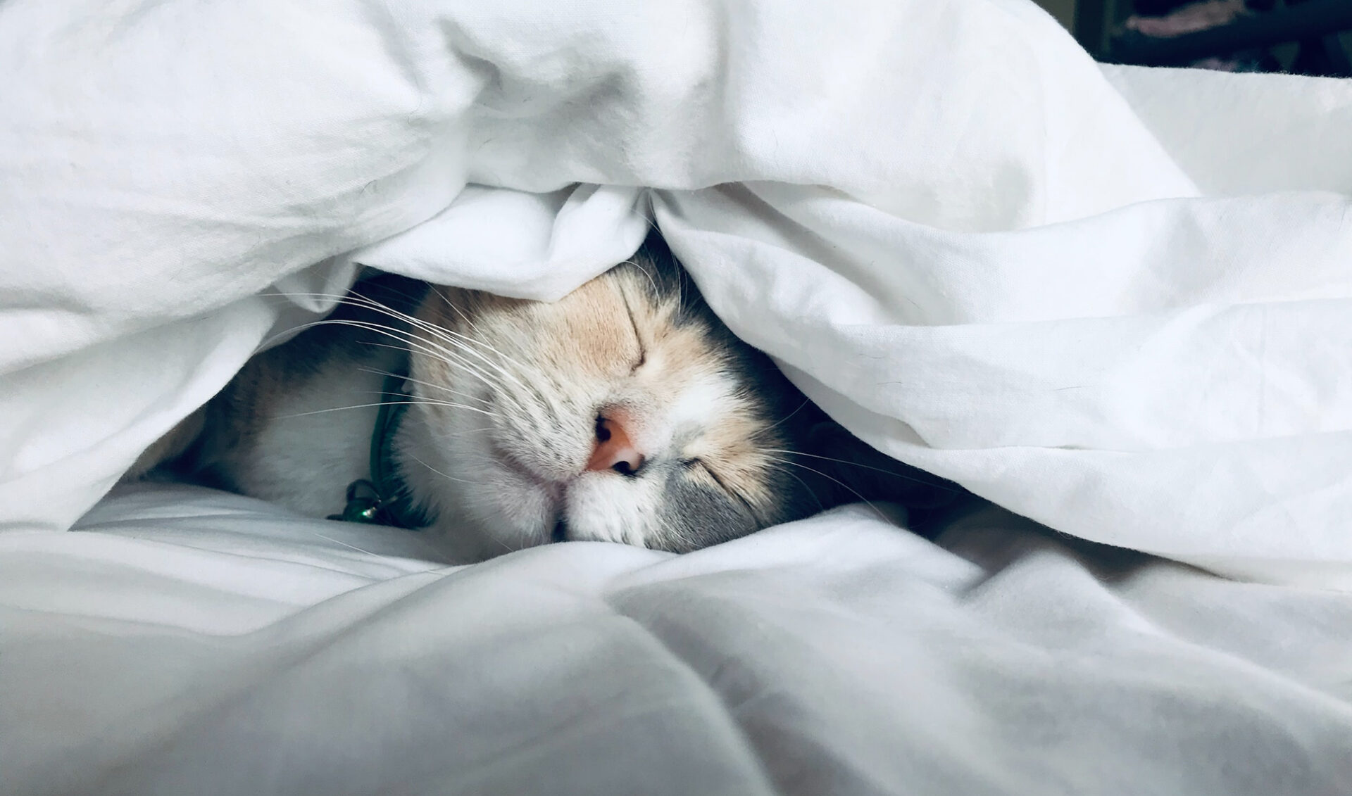 TikTok’s testing sleep reminders