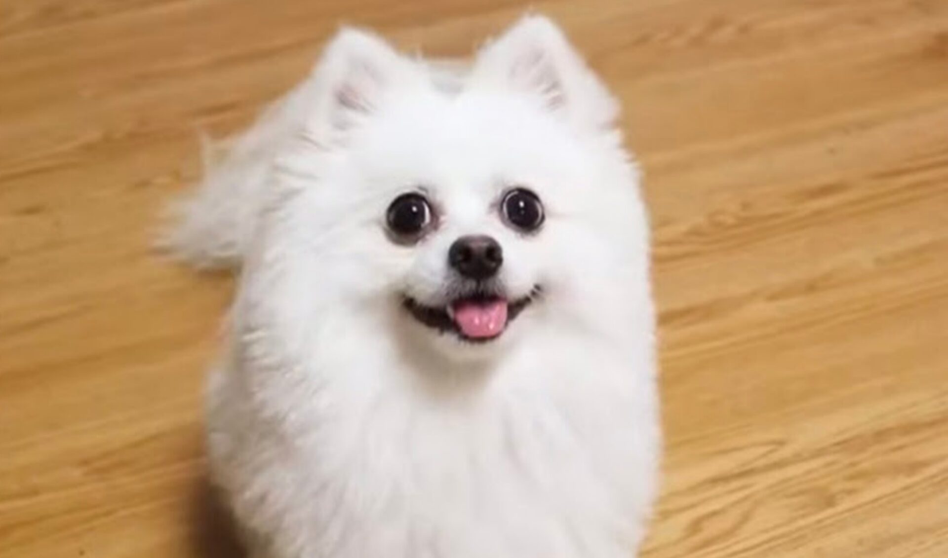 Top 50 Most Viewed YouTube Channels Worldwide • Week Of 05/14/2023