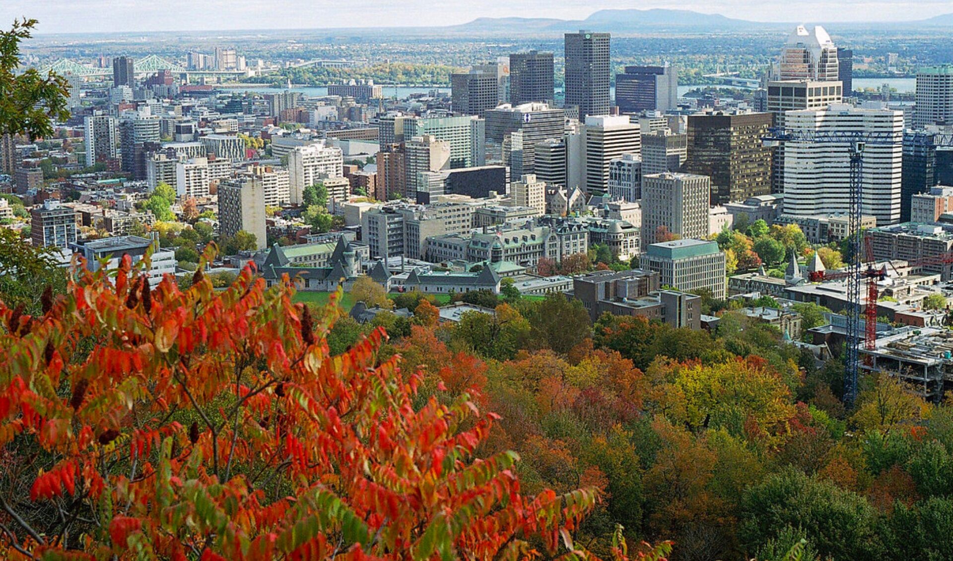 YouTube is coming to Montreal this fall with a pop-up for Quebecois creators