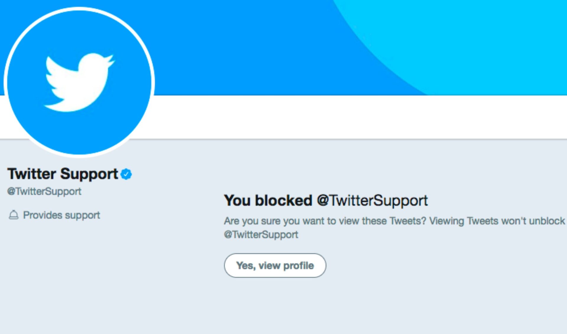 Bluesky signups increase tenfold as Elon Musk moves to ban X’s block function