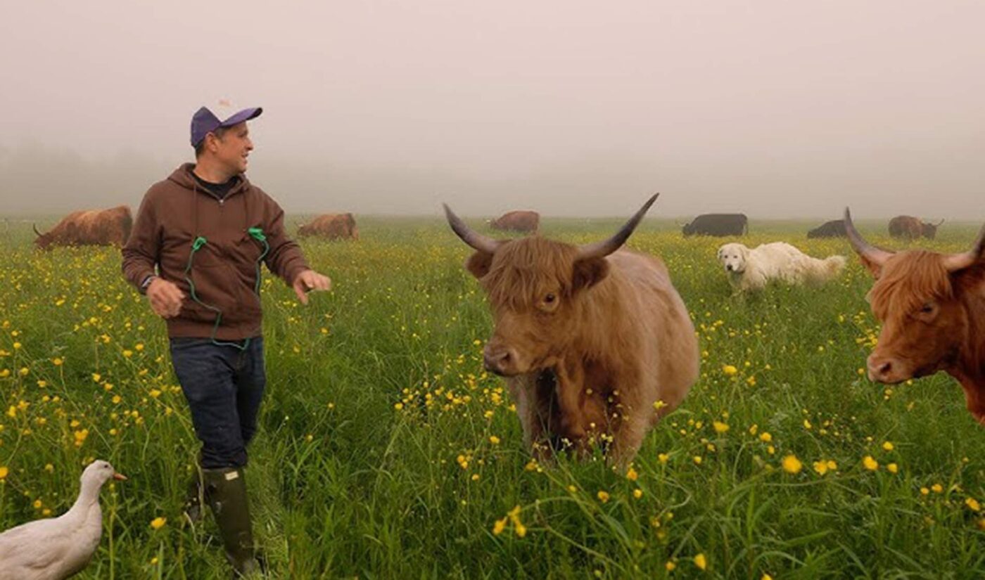 On the Rise: Morgan Gold makes it easy to spend a day on the farm