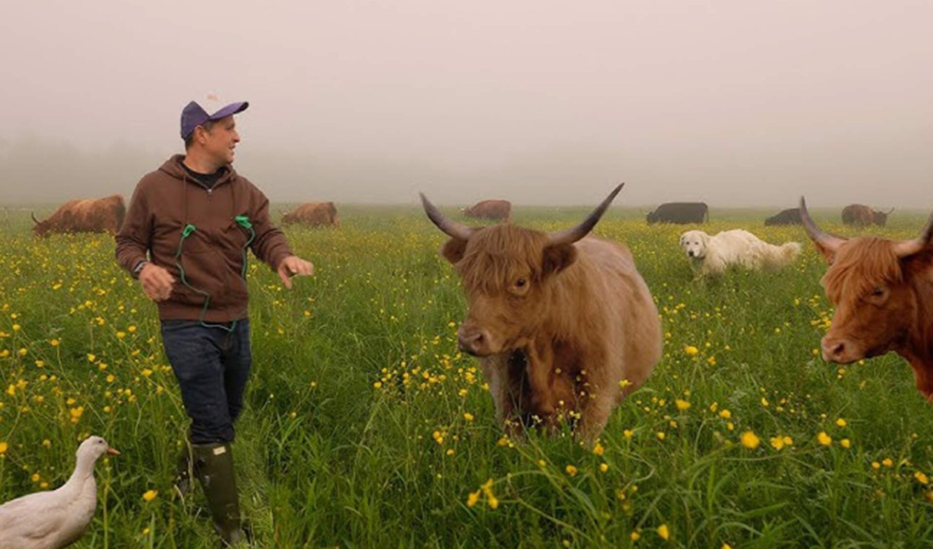 On the Rise: Morgan Gold makes it easy to spend a day on the farm