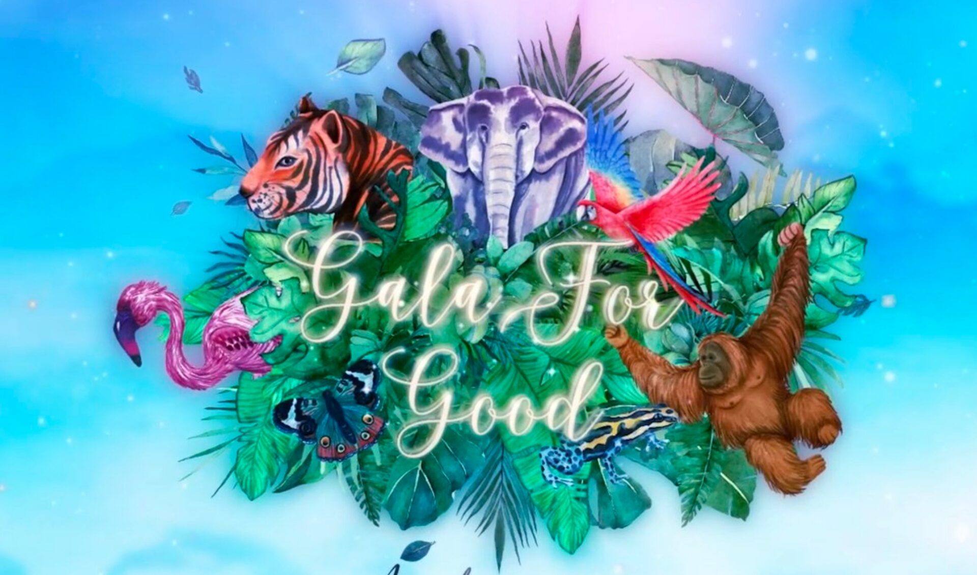 QTCinderella, Maya Higa’s Gala For Good raises “around $250,000” for rainforest conservation