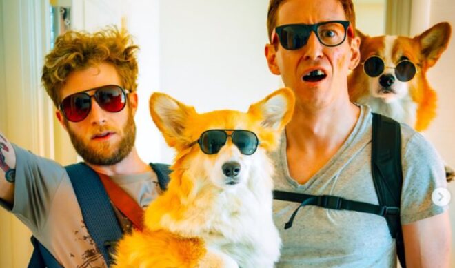 Internet corgis Hammy and Maxine to host 3-day dog party Chonkfest in Philadelphia