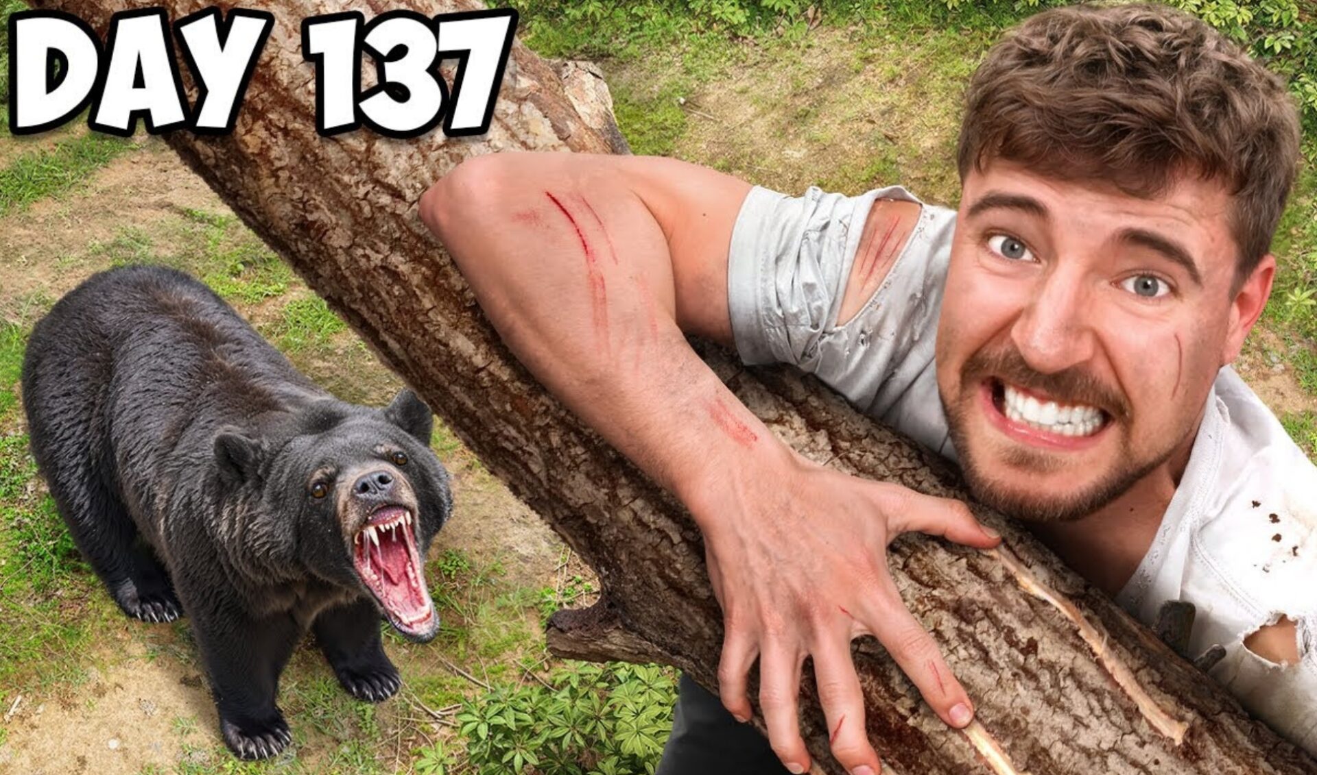 Top 5 Branded Videos of the Week: MrBeast leads us out of the YouTube wilderness