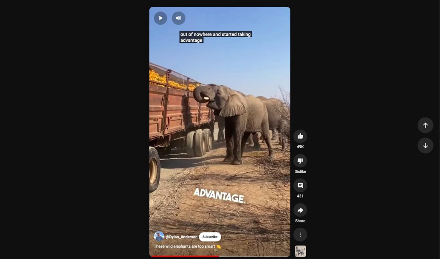 Top 50 Most Viewed YouTube Channels Worldwide • Week Of 06/30/2024