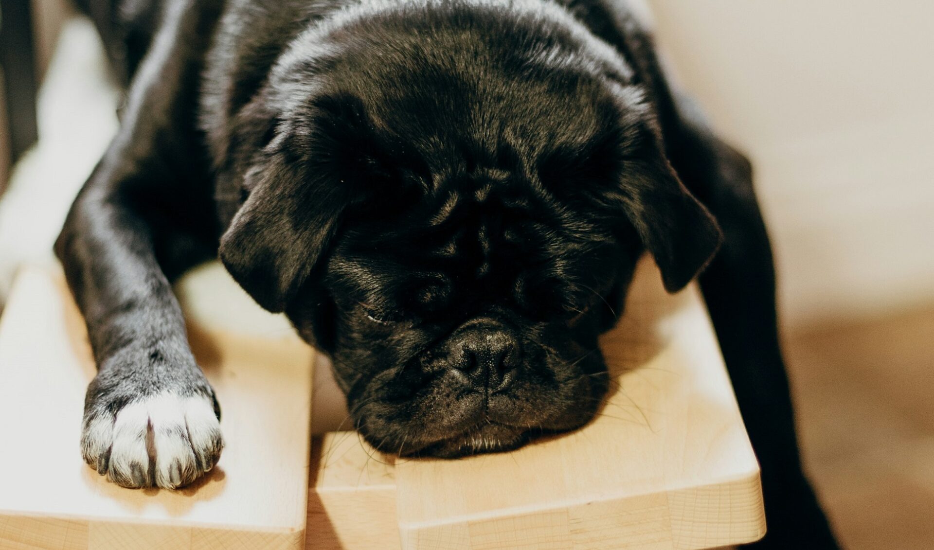 Should sleep streams be banned? One platform thinks so.