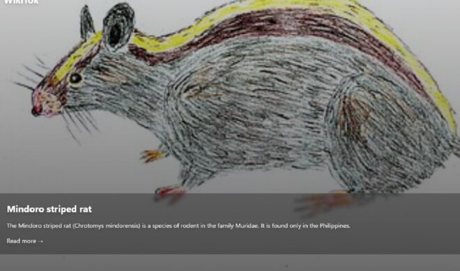 What if TikTok, but Wikipedia?