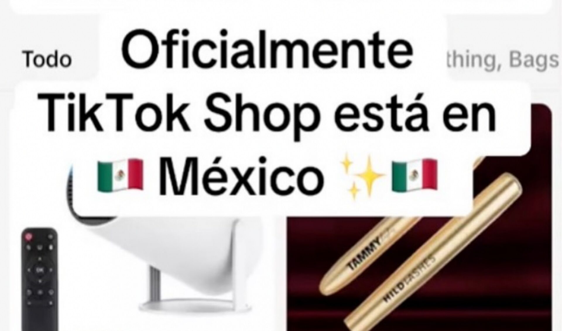 Washington’s attempted ban is helping TikTok Shop become big business in Mexico