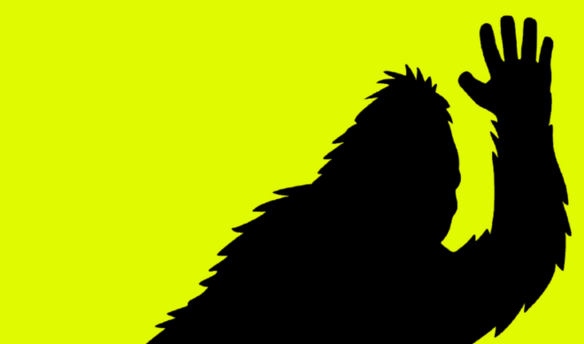 Companies are tapping creators for their expertise. Doing Things wants Jake Krantz to lead its new era of original content.