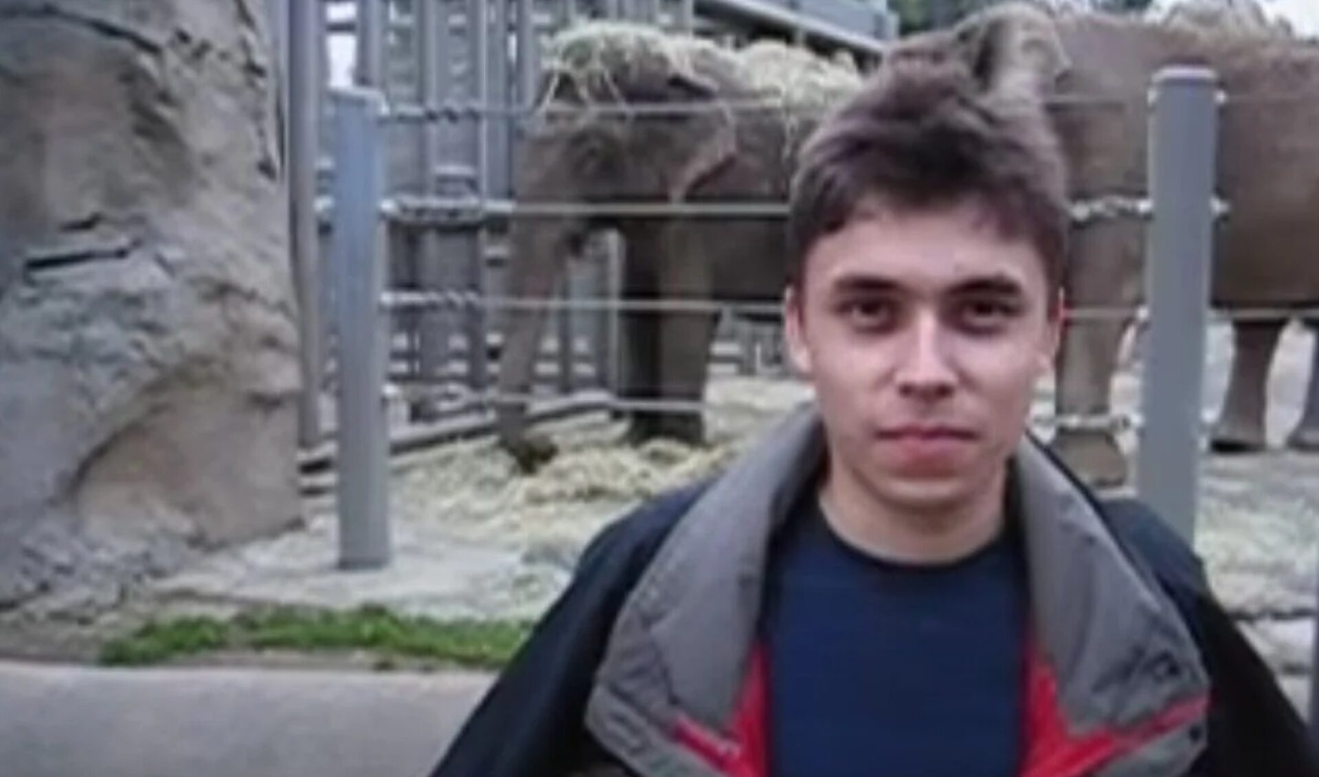 20 Years of YouTube: In 2005, a trip to the zoo started it all