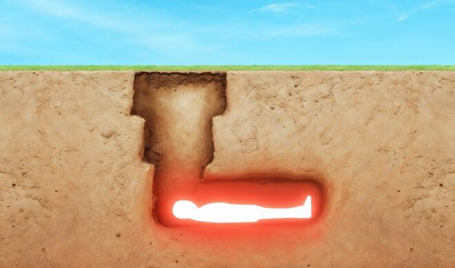 Top 5 Branded Videos of the Week: Beast Games, Saddam Hussein, JRE and DraftKings