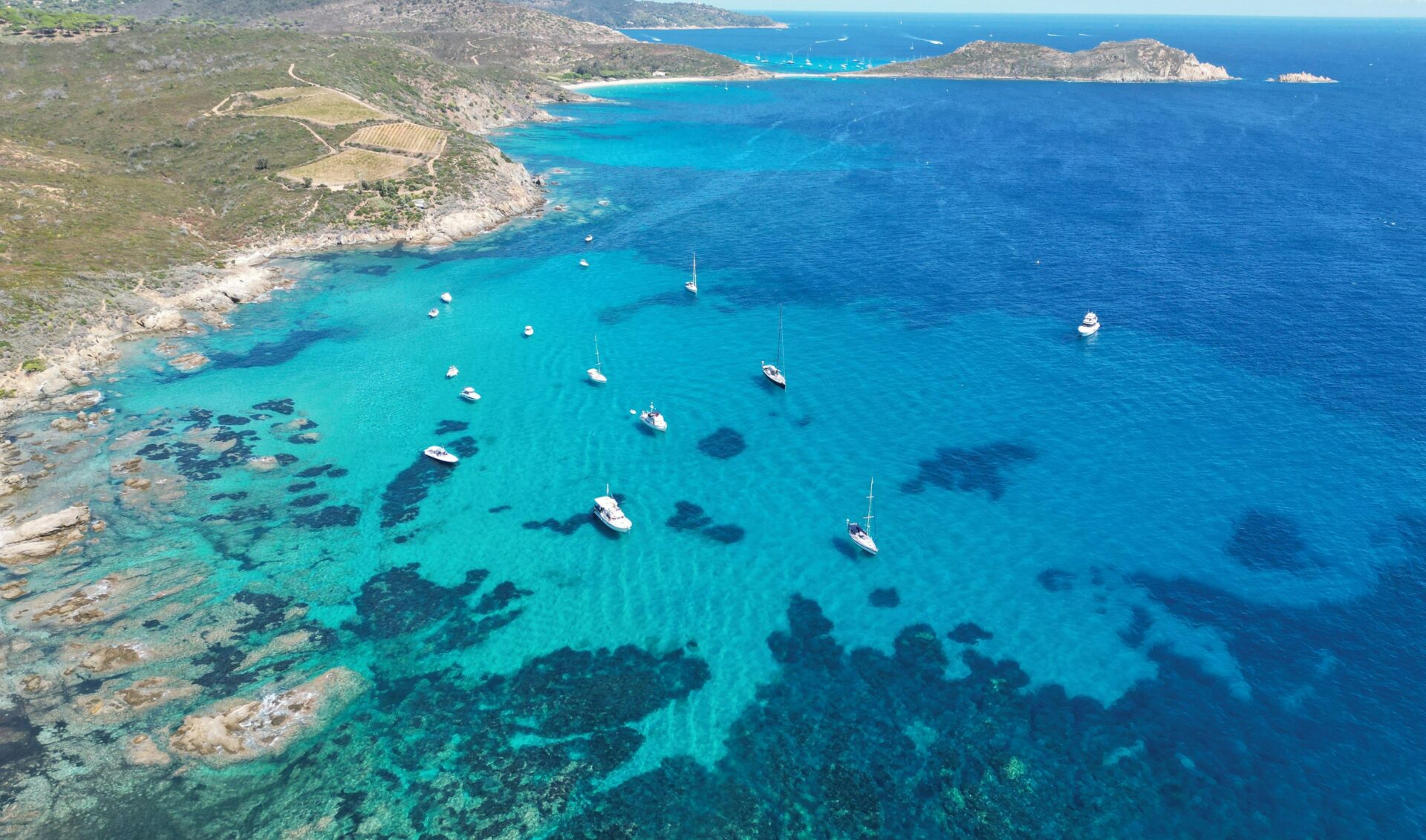 Marseille Web Fest wraps its 15th event, crowning nearly a dozen web series