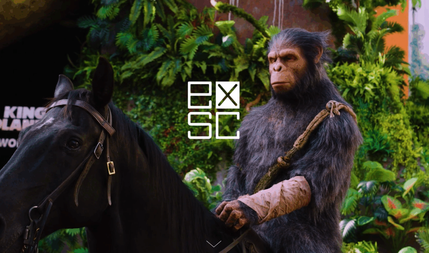 Could content creators + experiential marketing be the magic sauce? Night and its new acquisition are going to find out