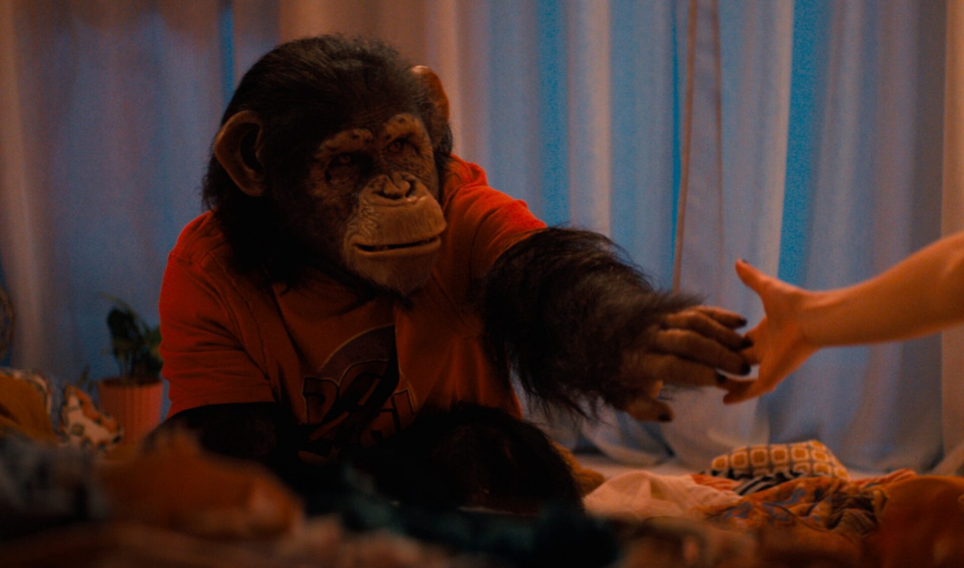 Can Paramount use “secret screenings” for TikTokers to get Gen Z into movie theaters?