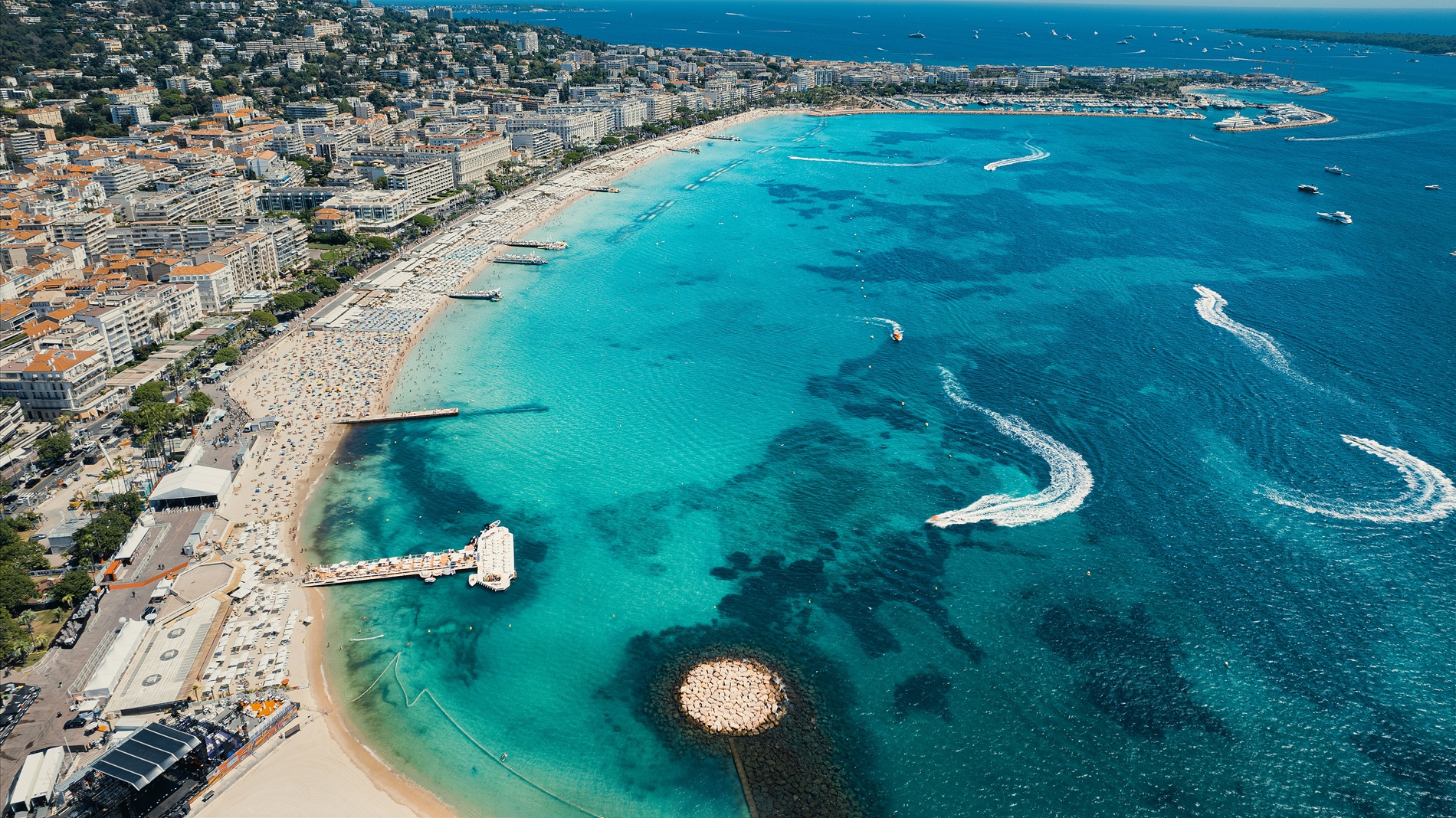 Want to meet up with creators at Cannes? Here's a list of who's going–and how to get in touch