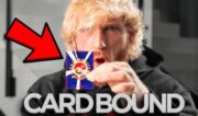 A documentary shares the history of card collecting, and its creator-led future
